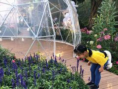 -龙环葡韵住宅式博物馆
