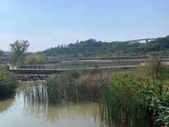 -飞凤山奥体公园