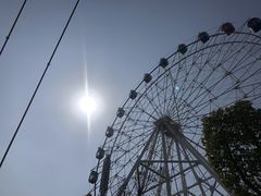 -花博汇(知音花月夜)