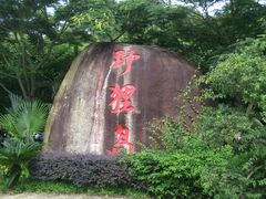 -野狸岛
