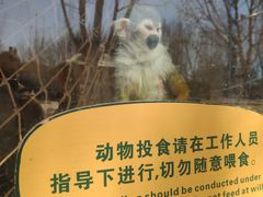 -北戴河集发农业梦想王国