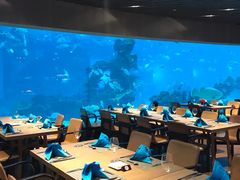 大堂-海棠湾洲际-涛·海底餐厅·美人鱼·自助餐·海底隧道