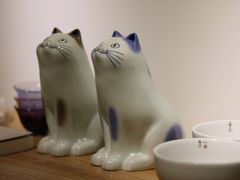 -猫里有甜