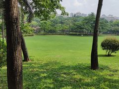 -深圳龙潭公园