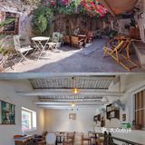 库存咖☕️和16岁“苏菲”，晒太阳、叹咖啡、聊人生