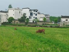-西溪南古村落