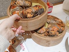 -杨氏青龙虾·羊蝎子(金盛路总店)
