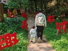 -昆明青龙峡风景区