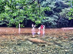 -祁门牯牛降观音堂风景区