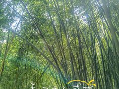 -竹子庵公园