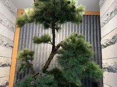 -金沙汤泉·足道洗浴汗蒸