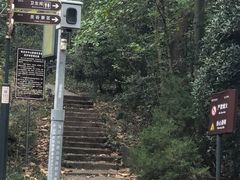 -紫金山山顶公园