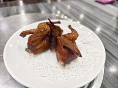 -鸽鸟轩(石岐店)
