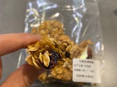 -喜马拉雅森HIMALAYAN FOREST