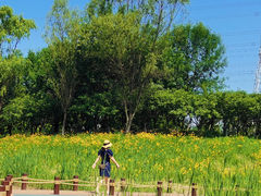 -翠湖国家城市湿地公园