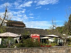 -树山生态村