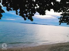 -卷心菜和避孕套餐厅(Pattaya)
