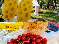 -秀丽东方