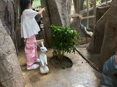 -长鹿旅游休博园