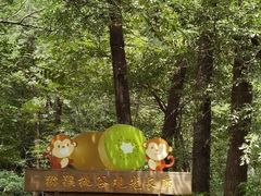-大岭沟猕猴桃谷风景区