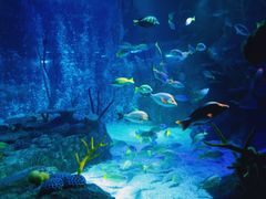 -沈阳海洋探索中心