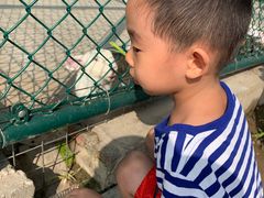 -上海滴水湖皇冠假日酒店