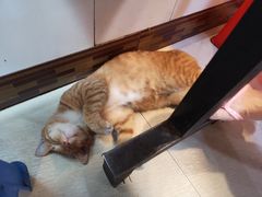 -富记鱼蛋粉(西村店)