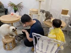 -共舞时光猫咖·狗咖(新街口店)