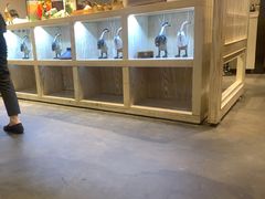 -小大董·烤鸭(五棵松店)