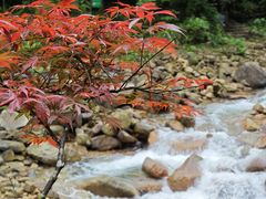 -姑婆山旅游区