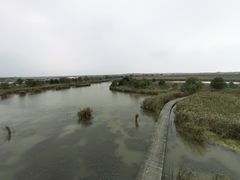 -盐城丹顶鹤湿地生态旅游区