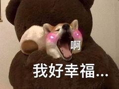 -老码头火锅(骡马市店)