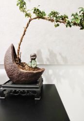 -原生美学·SMP3D纹发·纹野生眉