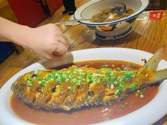 煎烧黄河大鲤鱼-老雒阳面馆·水席·洛阳菜(王城路店)