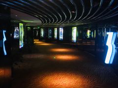-上海金逸影城(静安大悦城店（原新恒星影城）)