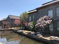 -万源龙顺度假庄园生态观光园