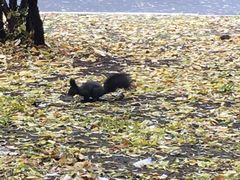 -中国建设银行哈尔滨培训中心