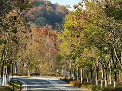 -方山风景区定林寺