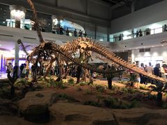 -自贡恐龙博物馆