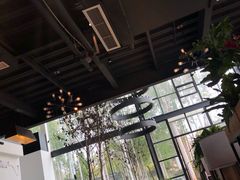 -桉树林A coffee 森林餐厅(三圣乡店)