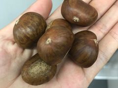 -阿男野栗王(金门路店)