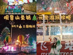 -巨鹏飞梦幻海岸