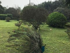 -天赐温泉