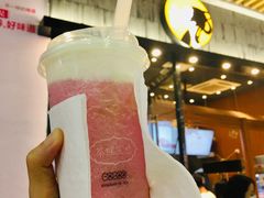 -茶理宜世(花城汇中区店)