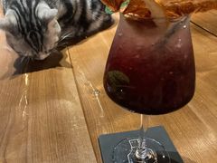 -咖法森林·咖啡  酒吧(天河店)