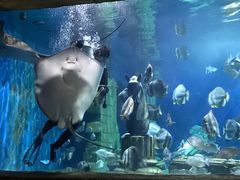 -梦幻海洋王国(吾悦广场张家港店)