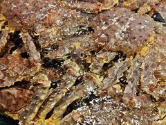 -龙宴海鲜城(经中路店)