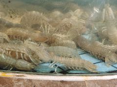 -北戴河转鱼·炒螃蟹酱餐厅