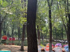 -长白岛森林公园