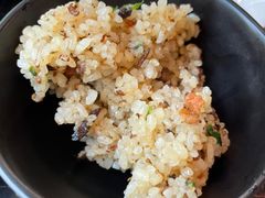 -蘑统田下·野生菌火锅